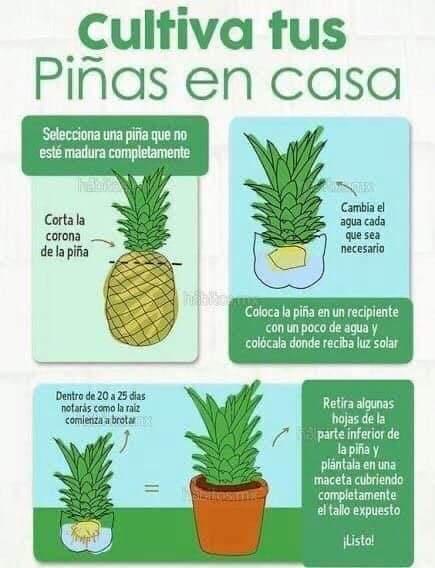 Recordando Los Huertos de La Victoria