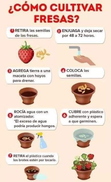 Recordando Los Huertos de La Victoria