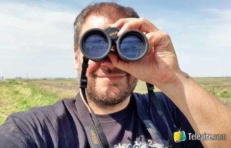 Avistaje de aves en Argentina: 1 experiencia inolvidable Avistaje de aves en Córdoba
