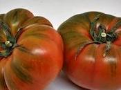 Tomates
