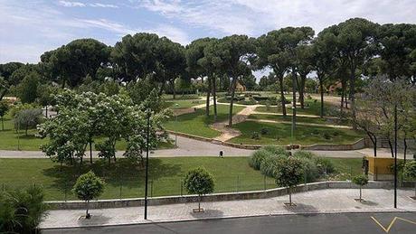 EL PARQUE DE LOS PINOS, PARQUE DE LA COLINA y PARQUE DE LA CUATRO ESTACIONES DE MONTEQUINTO ABRIRÁN SUS PUERTAS A PARTIR DE MAÑANA EL PARQUE DE LOS PINOS, PARQUE DE LA COLINA y PARQUE DE LA CUATRO ESTACIONES DE MONTEQUINTO ABRIRÁN SUS PUERTAS A PARTIR DE MAÑANA