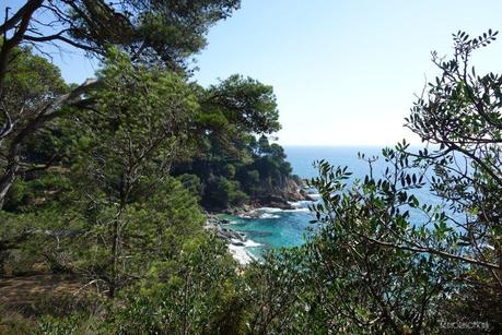 XINO XANO POR EL LITORAL DE LLORET DE MAR Platges de Lloret de Mar