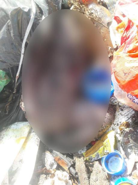 Encuentra cadáver de recién nacido en el tiradero de Peñasco