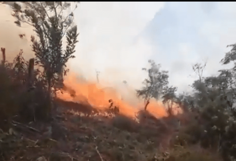 Descuido humano provoca incendio forestal en Xilitla