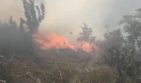Descuido humano provoca incendio forestal en Xilitla