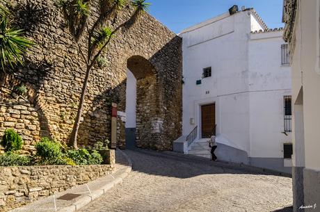 MEDINA SIDONIA (CÁDIZ)