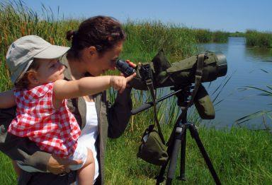 Por qué observamos los pájaros