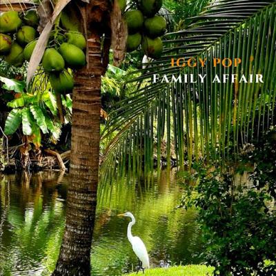 Iggy Pop - Family affair (1985-2020)