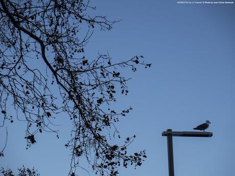 Barcelona (Diagonal): A la espera