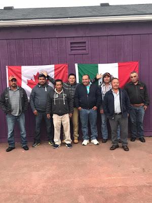 APOYA GEM A TRABAJADORES AGRÍCOLAS MEXIQUENSES PARA EMPLEARSE TEMPORALMENTE EN CANADÁ