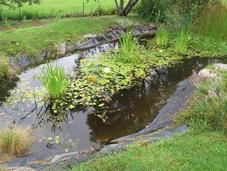 Cómo hacer estanque agua casero, fácil económico