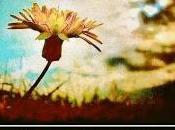 Capitulo sufrimiento