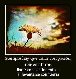 CAPITULO II EL SUFRIMIENTO