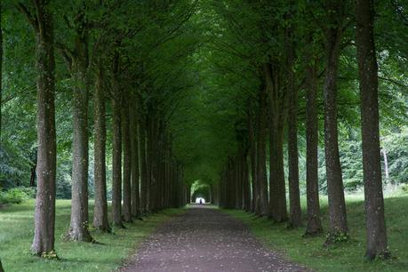 Descubre los mejores lugares del mundo para practicar ciclismo