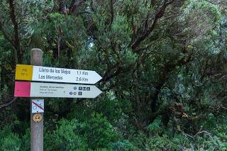 El Sendero de Los Sentidos – Parque Rural Anaga – Tenerife