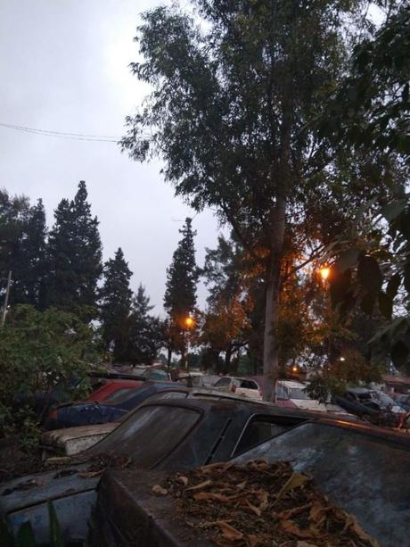 Dengue: piden que se realice el descacharreo de la chatarra judicial del predio “La Volanta”