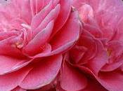 Historia continua cambia CAPITULO