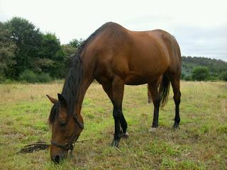 La Historia continua y cambia CAPITULO V