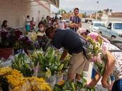 Flores despensa: floricultores potosinos rematan producto