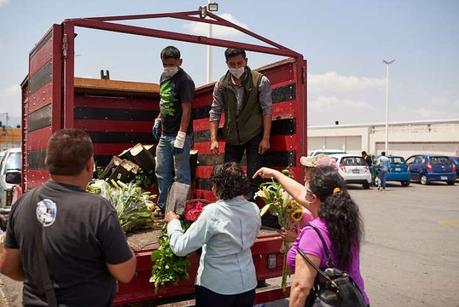 Flores por despensa: floricultores potosinos rematan su producto