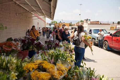 Flores por despensa: floricultores potosinos rematan su producto