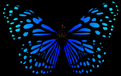 Sabiduría  japonesa – “La leyenda de la mariposa color zafiro”