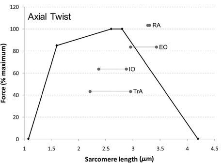 Desde los albores del culturismo, elegir los ejercicios b... Desde los albores del culturismo, elegir los ejercicios b...