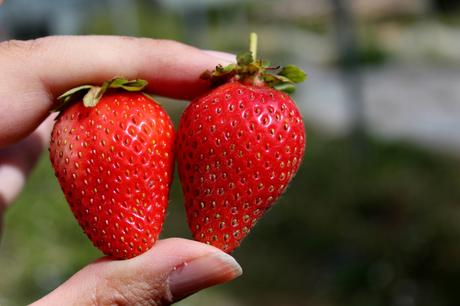 Los Antiguos: buscando las huellas del pasado