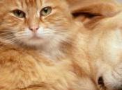 como hoy: efemérides abril