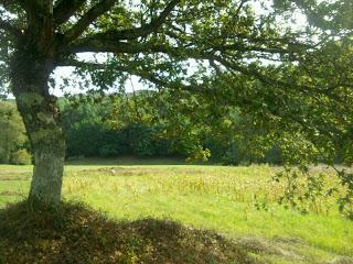 VIVE TU VIDA VIVE TU VIDA