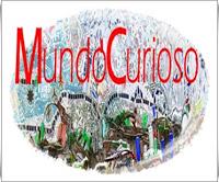 Testigos del COVID 2020