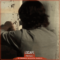 Cinecritica: Fuga de Pretoria