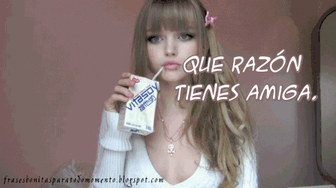 giphy gif, gif para los comentarios de facebook