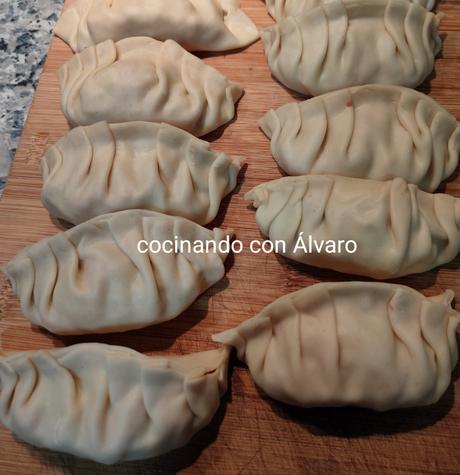 Gyozas de Carne