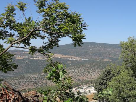 ISRAEL: SAFED, LA CUNA DE LA KABBALAH