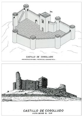 El castillo y la muralla de Cogolludo