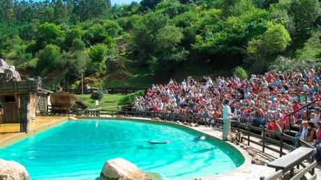 Una maravillosa ‘visita guiada’ a la naturaleza de Cabárceno, en Cantabria Una maravillosa ‘visita guiada’ a la naturaleza de Cabárceno, en Cantabria