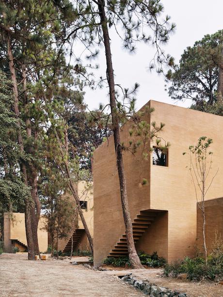 Entre Pinos Entre Pinos