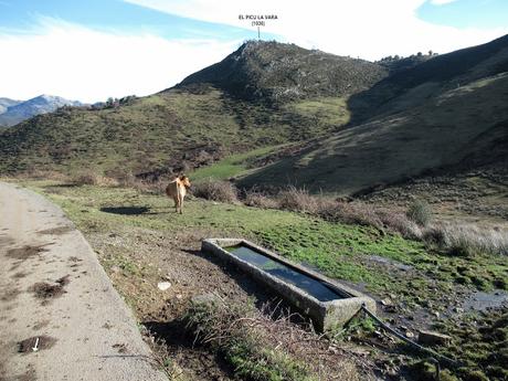 Belmonte-Tiblós-Villamarín-Dolia