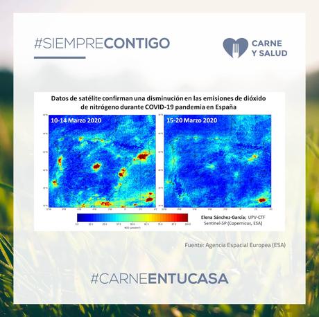 Los recientes registros muestran que la ganadería no es la responsable principal del cambio climático