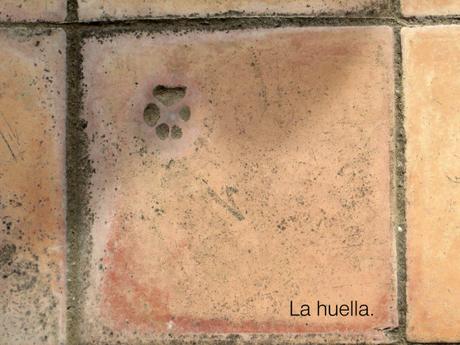 #En casa ( lo de mirar al suelo.)