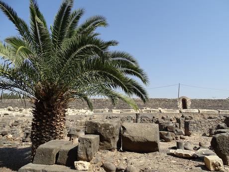 ISRAEL: CAFARNAÚM  Y TABGHA EN EL LAGO TIBERIADES