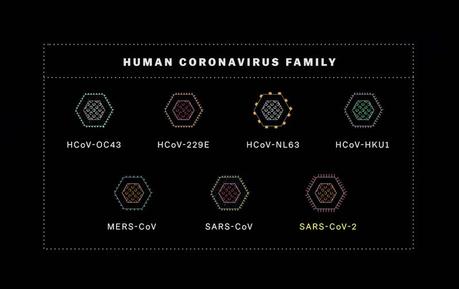 Conclusiones del Primer episodio de la serie Explained sobre el Coronavirus en Netflix