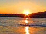 Música para Gatos Algo música Jazzy gatitos confinados.