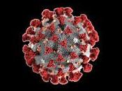 ¿Cuándo Terminara Pandemia Covid