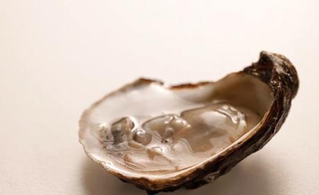 Consumo de ostras en la antigua Roma
