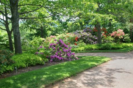 Un Jardín a la sombra.