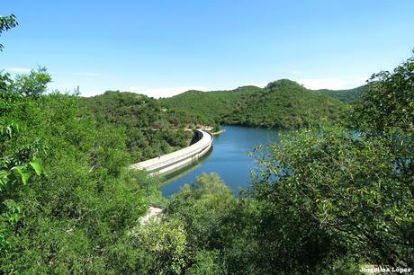 Camino de Colanchanga