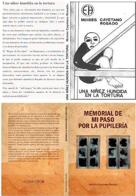 DE LA DENUNCIA ESTRICTA A LA DENUNCIA IRÓNICAUNA NIÑEZ HU...