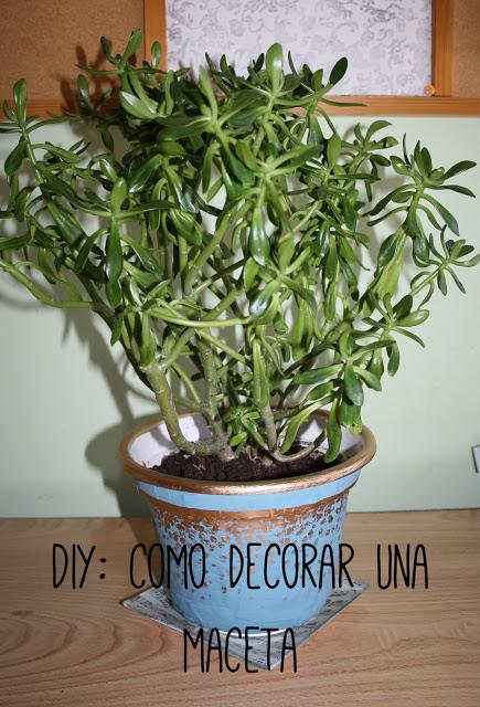 Diy: como decorar una maceta